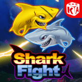 Shark Fight